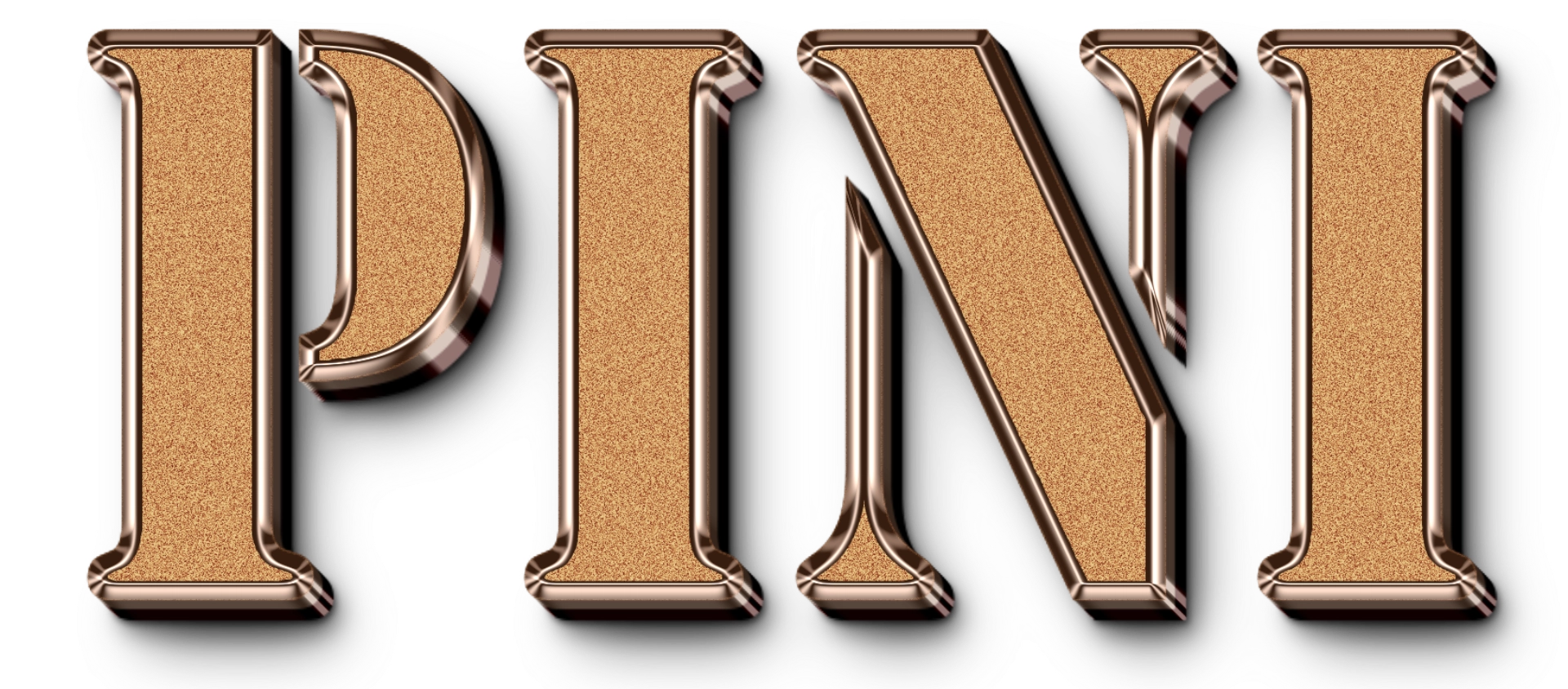 pini Graphic Designer